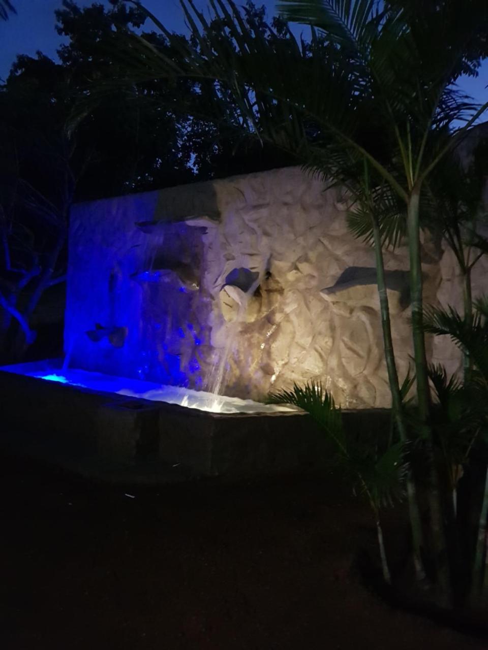 فيلا Numbi Hills Self-Catering هازيفيو المظهر الخارجي الصورة